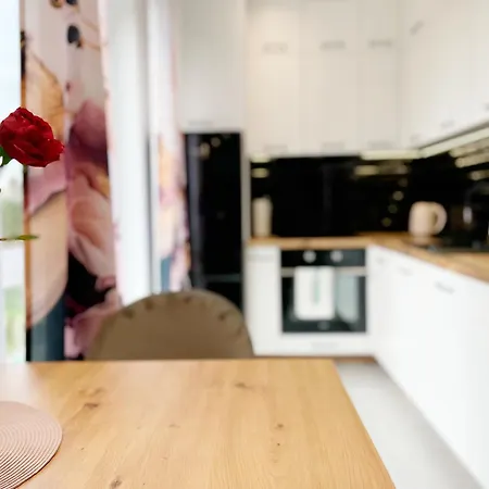 Premium - Red Rose - Self Check-in * Rzeszow