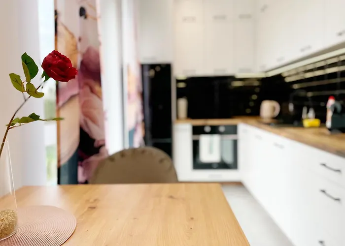 Premium - Red Rose - Self Check-in * Rzeszów